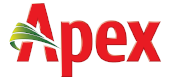 apex footwear